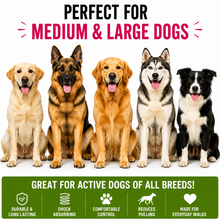 Load image into Gallery viewer, ProMounts 2-Pack Shock Absorbing Bungee Dog Leash Set – Heavy Duty Foam Handle, Elastic Training Leashes with Metal Swivel Clip, Pink & Green Included