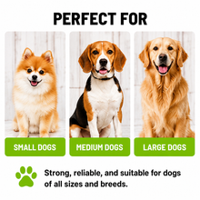 Load image into Gallery viewer, ProMounts 4-Pack Braided Rope Dog Leash Set, Heavy-Duty Reflective Woven Leashes with Comfortable Handle, 6-Foot Length, Orange & Yellow-Green