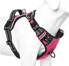 Load image into Gallery viewer, Medium Dog Harness, 3 Snap Buckles No-Pull Soft Padded Dog Vest with 2 Metal Leash Clips, No Choke Pet Harness with Easy Control Handle for Extra Large Dogs One Products