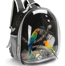 Load image into Gallery viewer, Panoramic View Bird carrier Backpack – Breathable Bubble Carrier for Small & Medium Birds with Secure Perch & Locking Zippers ProMounts Bird Supplies