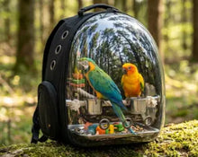 Load image into Gallery viewer, Panoramic View Bird carrier Backpack – Breathable Bubble Carrier for Small & Medium Birds with Secure Perch & Locking Zippers ProMounts Bird Supplies