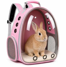 Load image into Gallery viewer, Pet Carrier Backpack for Cats & Small Dogs, Airline-Friendly Bubble Carrier with Mesh Ventilation & Safety Leash | Pink One Products