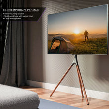 Load image into Gallery viewer, ProMounts Premium Artistic Easel Tripod TV Stand for 47-72 inch LED LCD OLED Flat and Curved Screens, Portable Height Adjustable TV Mount Stand for Bedroom, Living Room, Studio ProMounts TV Stand