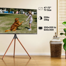 Load image into Gallery viewer, ProMounts Premium Artistic Easel Tripod TV Stand for 47-72 inch LED LCD OLED Flat and Curved Screens, Portable Height Adjustable TV Mount Stand for Bedroom, Living Room, Studio ProMounts TV Stand