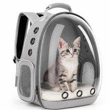 Load image into Gallery viewer, Pet Carrier Backpack for Cats & Small Dogs, Airline-Friendly Bubble Carrier with Mesh Ventilation & Safety Leash | Gray One Products Pet Bag