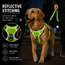 Load image into Gallery viewer, Promounts Reflective No-Pull Dog Harness with Front and Back Leash Clips, Adjustable Breathable Mesh Pet Vest | Medium