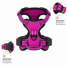 Load image into Gallery viewer, Promounts Reflective No-Pull Dog Harness with Front and Back Leash Clips, Adjustable Breathable Mesh Pet Vest | Medium