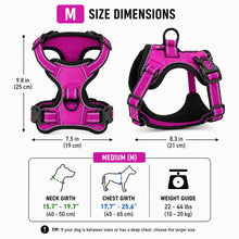 Load image into Gallery viewer, Promounts Reflective No-Pull Dog Harness with Front and Back Leash Clips, Adjustable Breathable Mesh Pet Vest | Medium