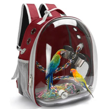 Load image into Gallery viewer, secure bird perch backpack – Breathable Bubble Carrier for Small & Medium Birds with Secure Perch & Locking Zippers One Products