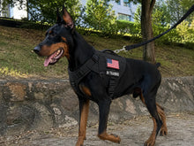 Load image into Gallery viewer, Adjustable Tactical Dog Harness for Medium &amp; Large Dogs, Heavy-Duty No-Pull Vest with Metal Buckle and Control Handle | Black Camouflage One Products pet
