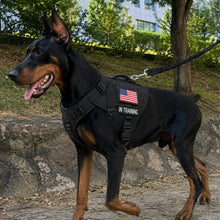 Load image into Gallery viewer, Adjustable Tactical Dog Harness for Medium &amp; Large Dogs, Heavy-Duty No-Pull Vest with Metal Buckle and Control Handle | Black Camouflage
