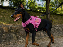 Load image into Gallery viewer, Adjustable Tactical Dog Harness for Medium &amp; Large Dogs, Heavy-Duty No-Pull Vest with Metal Buckle and Control Handle | Pink Camouflage One Products
