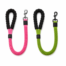 Load image into Gallery viewer, ProMounts 2-Pack Shock Absorbing Bungee Dog Leash Set – Heavy Duty Foam Handle, Elastic Training Leashes with Metal Swivel Clip, Pink &amp; Green Included
