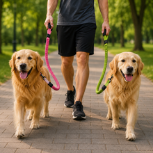 Load image into Gallery viewer, ProMounts 2-Pack Shock Absorbing Bungee Dog Leash Set – Heavy Duty Foam Handle, Elastic Training Leashes with Metal Swivel Clip, Pink &amp; Green Included
