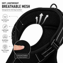 Load image into Gallery viewer, Promounts Reflective No-Pull Dog Harness with Front and Back Leash Clips, Adjustable Breathable Mesh Pet Vest | Medium
