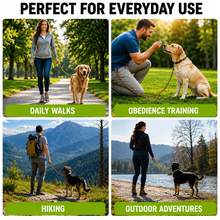 Load image into Gallery viewer, ProMounts 4-Pack Braided Rope Dog Leash Set, Heavy-Duty Reflective Woven Leashes with Comfortable Handle, 6-Foot Length, Orange &amp; Yellow-Green
