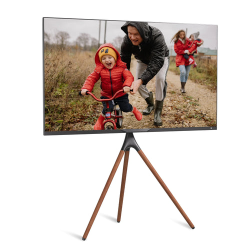 ProMounts Artistic Easel Tripod TV Stand for 47-72 inch LED LCD OLED Flat and Curved Screens, Portable Height Adjustable TV Mount Stand for Bedroom, Living Room, Studio ProMounts