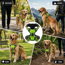 Load image into Gallery viewer, Promounts Reflective No-Pull Dog Harness with Front and Back Leash Clips, Adjustable Breathable Mesh Pet Vest | Medium
