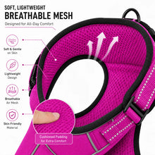 Load image into Gallery viewer, Promounts Reflective No-Pull Dog Harness with Front and Back Leash Clips, Adjustable Breathable Mesh Pet Vest | Medium
