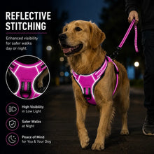 Load image into Gallery viewer, Promounts Reflective No-Pull Dog Harness with Front and Back Leash Clips, Adjustable Breathable Mesh Pet Vest | Medium
