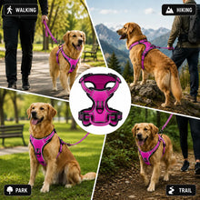 Load image into Gallery viewer, Promounts Reflective No-Pull Dog Harness with Front and Back Leash Clips, Adjustable Breathable Mesh Pet Vest | Medium
