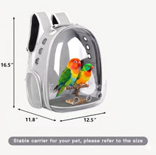 Load image into Gallery viewer, secure bird perch backpack – Breathable Bubble Carrier for Small &amp; Medium Birds with Secure Perch &amp; Locking Zippers One Products
